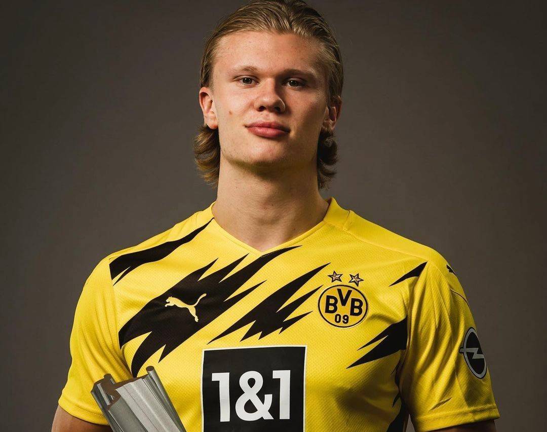 技性兼具 技性兼具